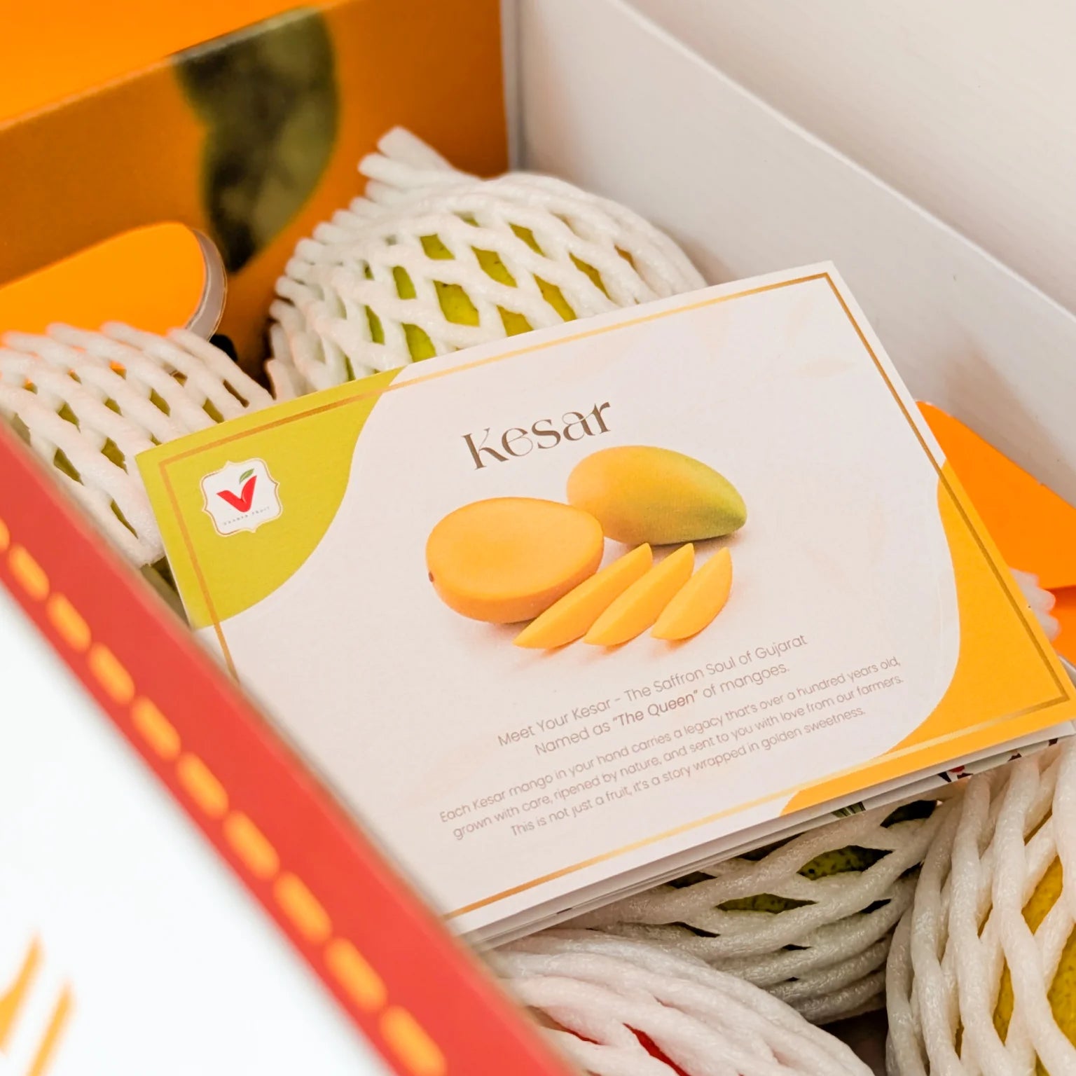 Mango - Kesar