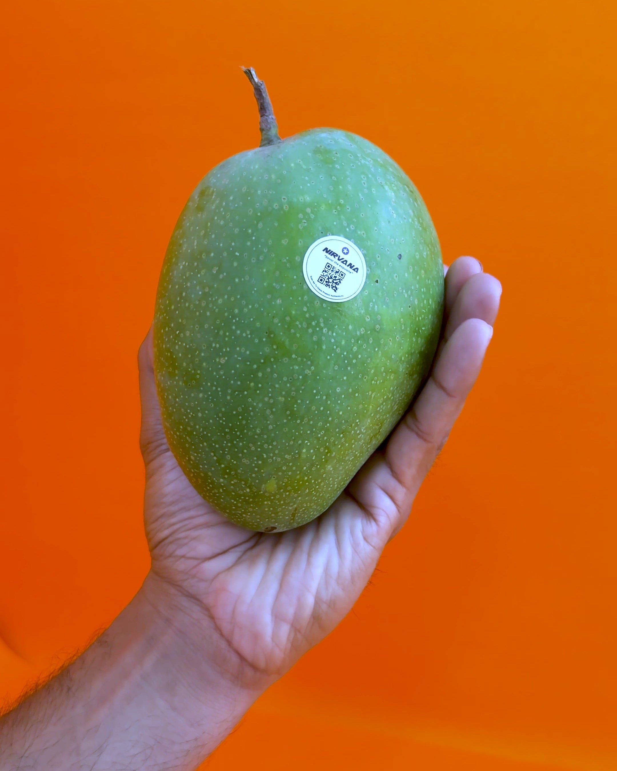 Mango - Imam Pasand