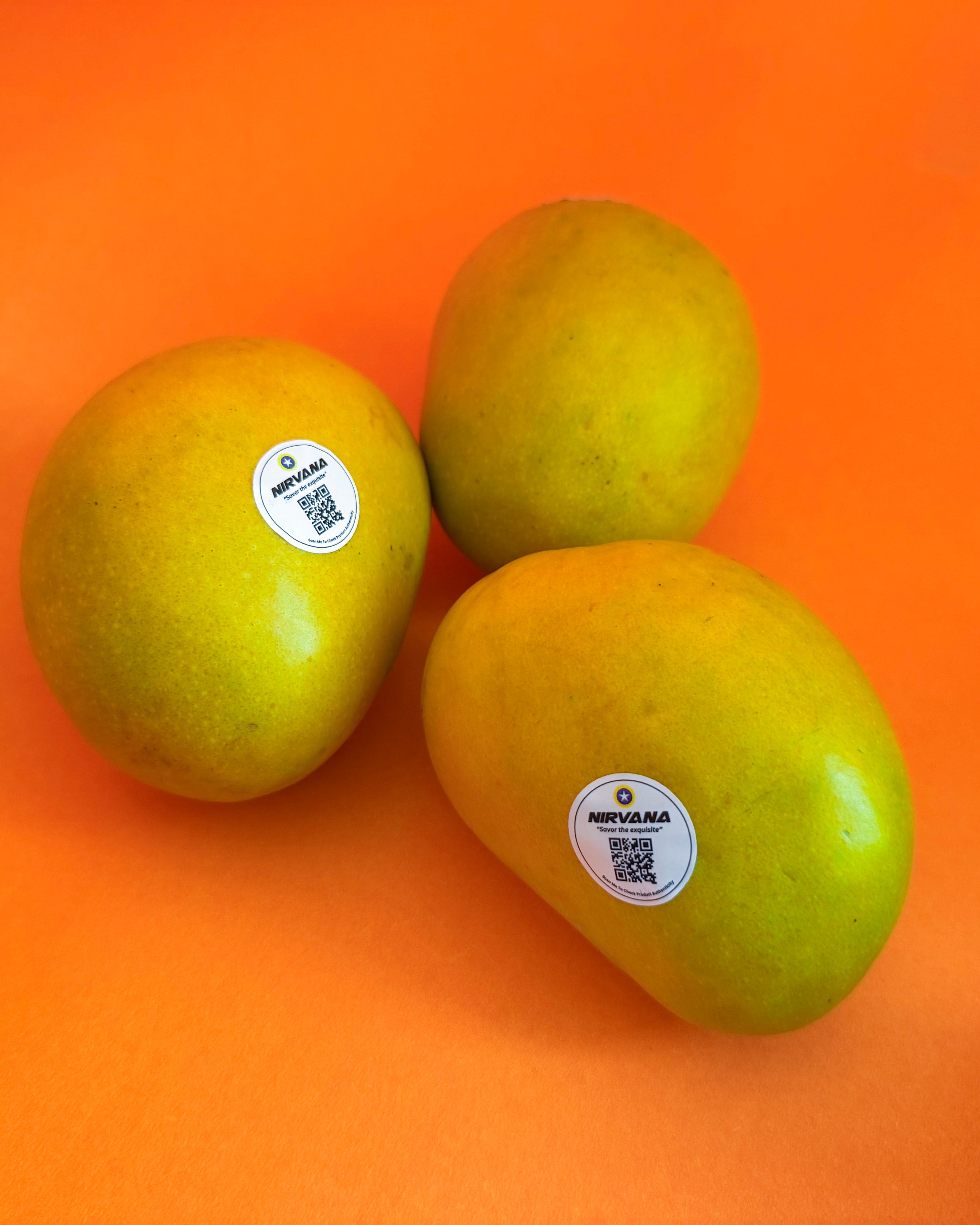 Mango - Alphonso