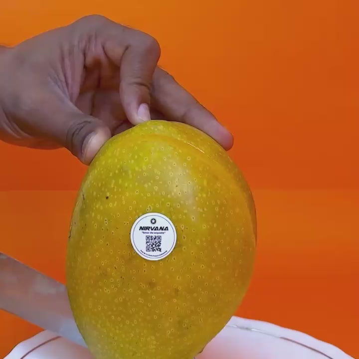 Mango - Imam Pasand